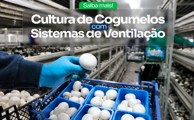  ? Aprimorando a Cultura de Cogumelos com Sistemas de Ventilação ?