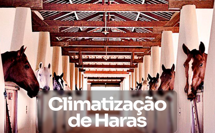 Climatização de Haras com o Climatizador Industrial FRYO®: Bem-Estar e Saúde para os Animais